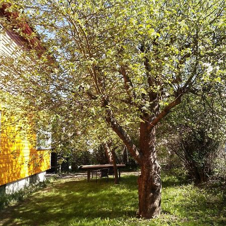 Renovated Semi- Basement 2 Bedrooms Furnished Apartment - Close To Everything In Moss Exterior foto